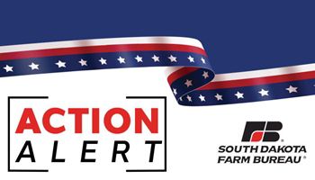 ACTION ALERT: Please urge your Senator to vote NO on SB 185!