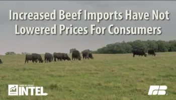 Farm Bureau find more imports have not lowered beef prices for consumers