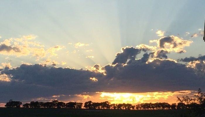 Sun is Setting on the Application Deadline for beefSD Class 3