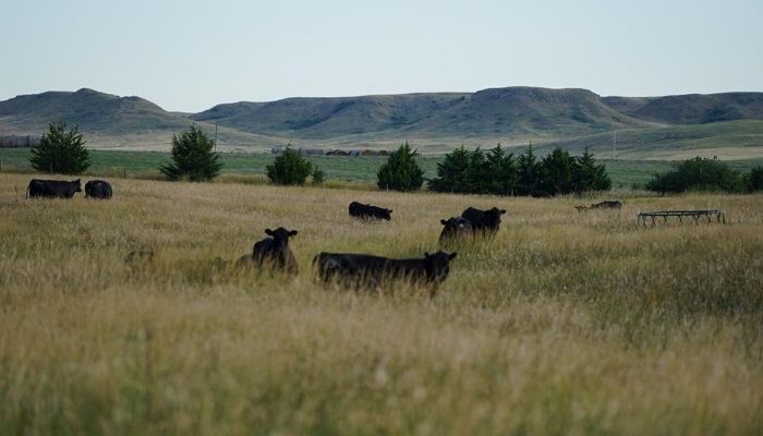 South Dakota Farm Bureau Pushing for Support of Trans Pacific Partnership