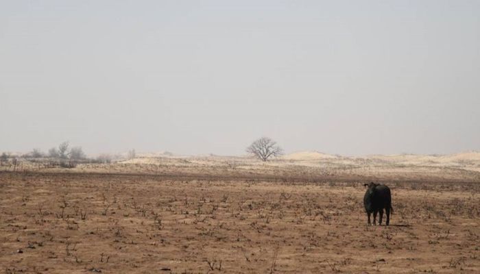 South Dakota Gives Back