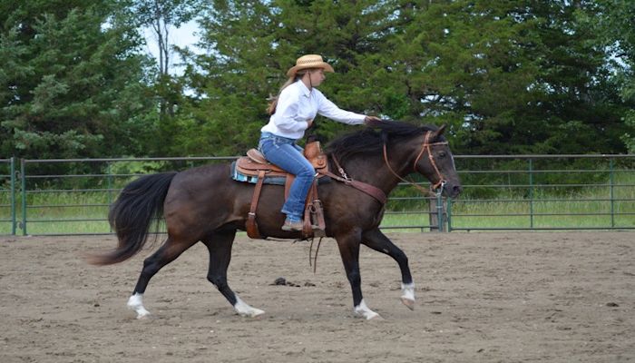 Roberts County 4-H Horse Project Recognized by South Dakota Farm Bureau Centennial Community Initiative