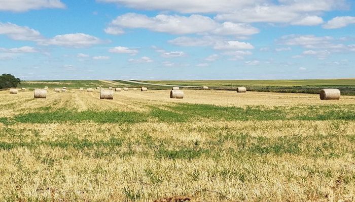 Congressional Leaders will Discuss Next Farm Bill at Dakotafest
