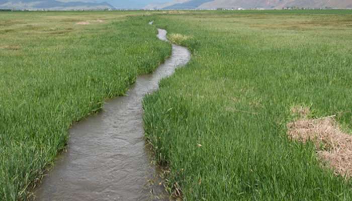 Comments Will Soon be Taken on Proposed New Clean Water Rule
