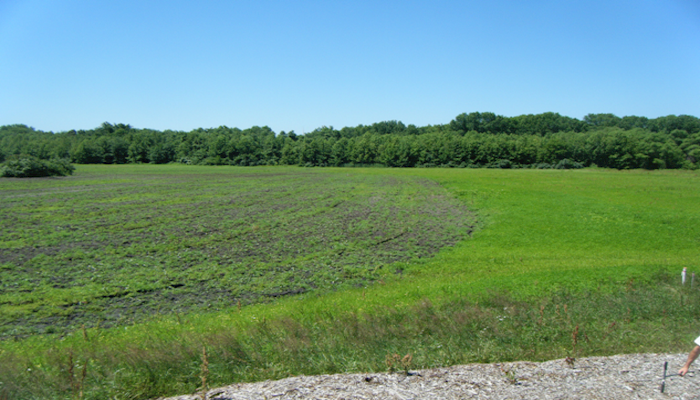 South Dakota Farm Bureau announces credit availability in South Dakota Ag Wetland Exchange