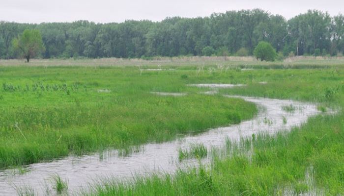 South Dakota Ag Wetland Exchange to Take National Stage
