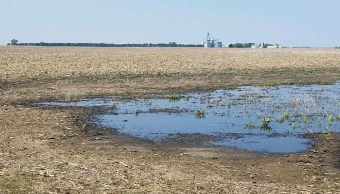 Resources Available to Answer Prevented Planting Questions