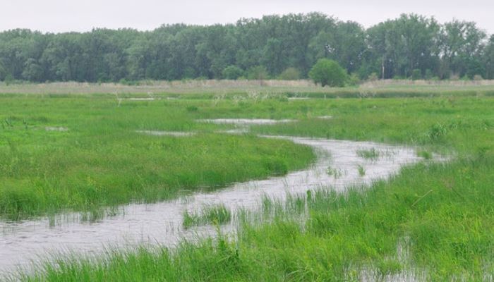 Second Wetland Mitigation Bank Credits Now Available