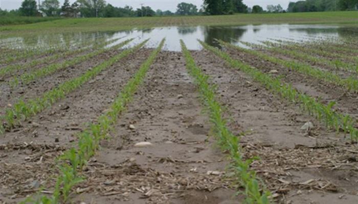 Court Opinion Brings to Light Concerns Over Swampbuster Enforcement