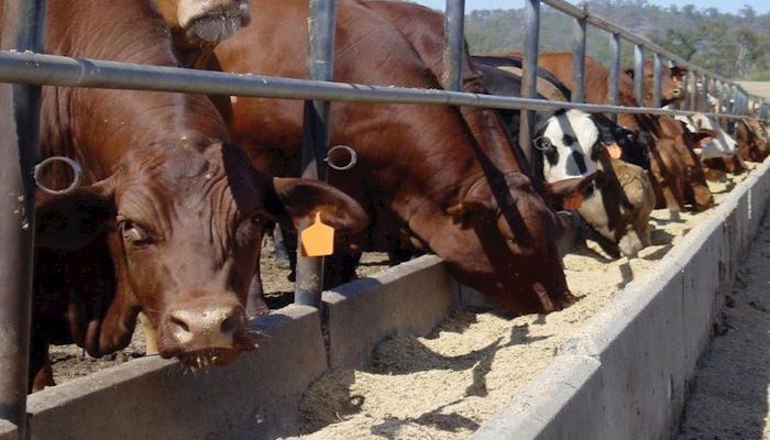 Share Your Voice on Feed Tonnage Fee Increase 