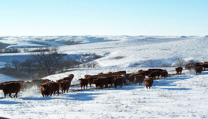 SDFB is monitoring market impacts due to COVID-19
