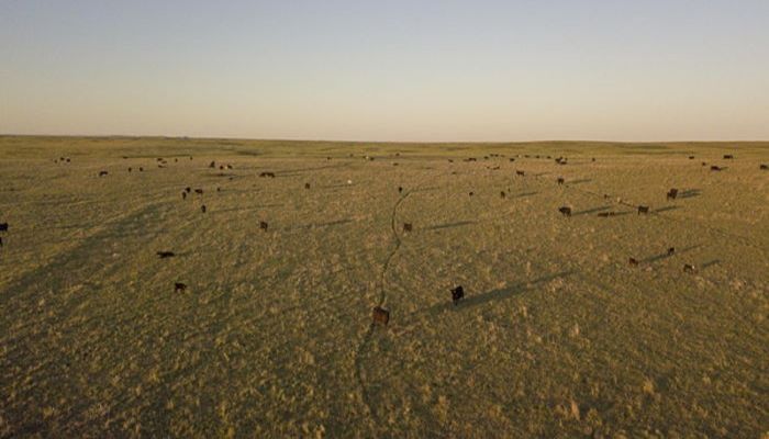 Sustainable Ag Tour to Be Held Near McLaughlin on June 7