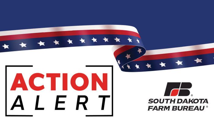 ACTION ALERT: Please urge your Senator to vote NO on SB 185!