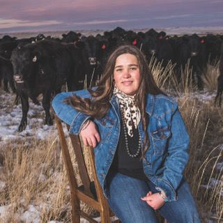 A person sitting on a chair in front of a group of cows

Description automatically generated with medium confidence